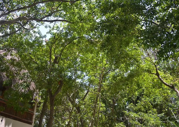 Shalala Hotel