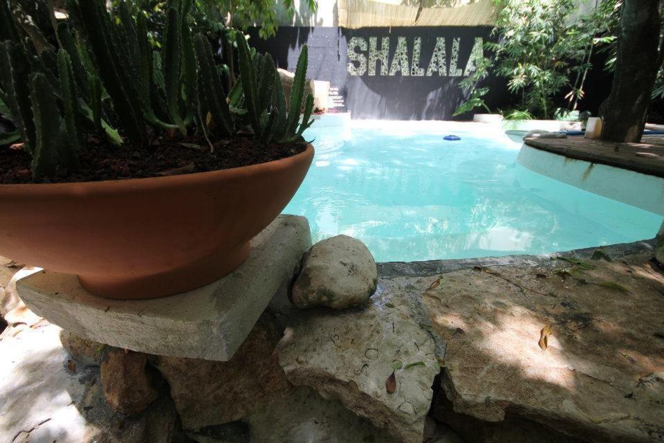 Shalala Hotel 3*