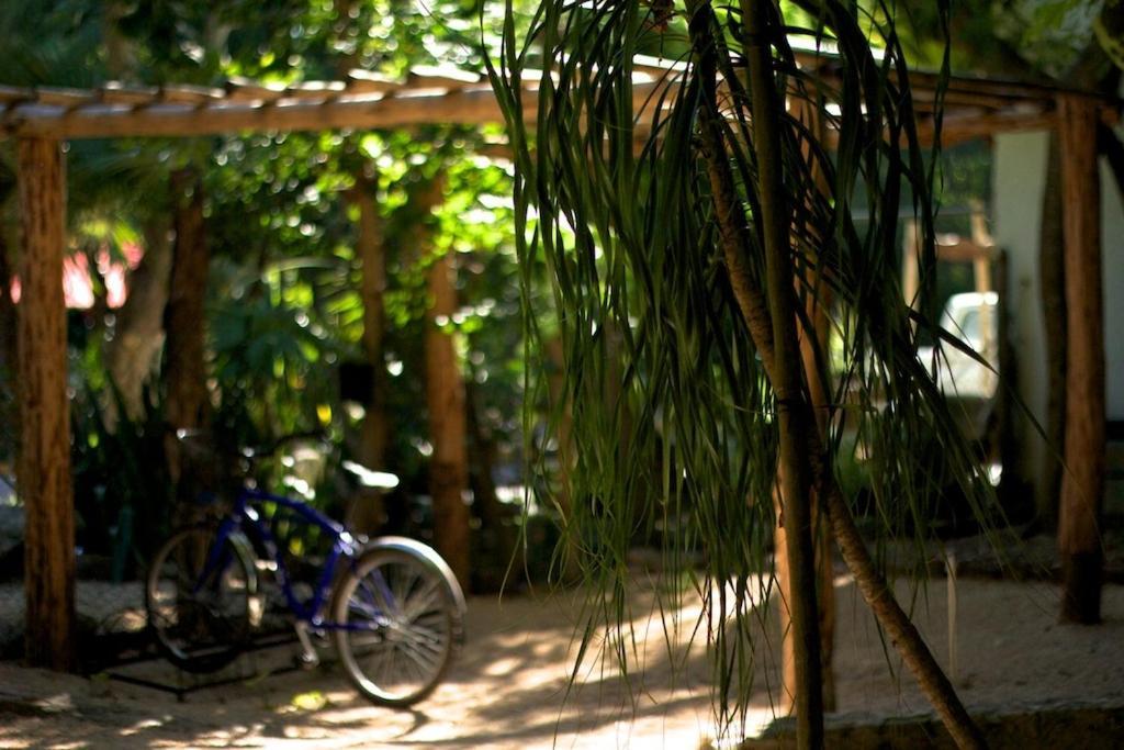 Shalala Hotel 3*